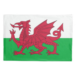 Única bandeira patriótica da fronha de almofada