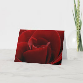 Único cartão da rosa vermelha