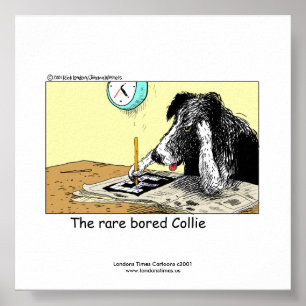 Uniforme Funny Border Collie Poster