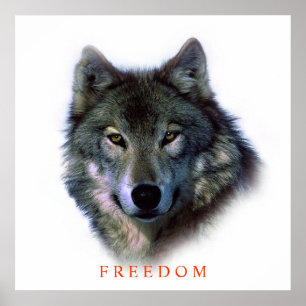 Unique Motivational Freedom Wolf Poster