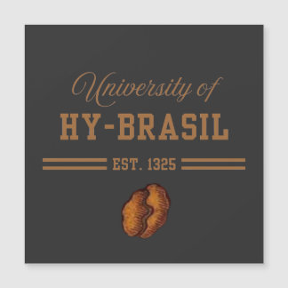 Universidade de Hy-Brasil, Est. 1325
