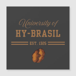 University of Hy-Brasil, Est. 1325
