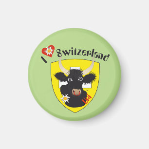 Uri Suíça Suisse Svizzera Svizra íman