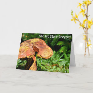 Urodziny - Engraçado Cartão de aniversário polonês
