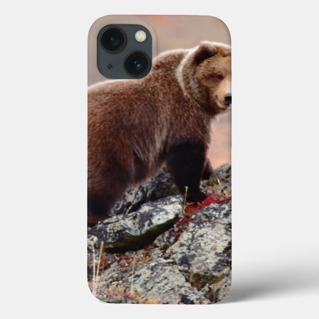 Urso de Denali Brown (Verso)