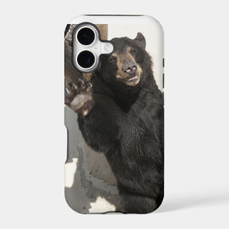 Urso de ondulação