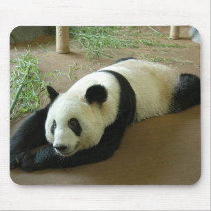 Urso de panda gigante Mousepad