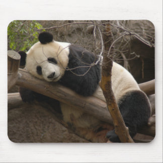 Urso de panda gigante & panda Mousepad do bebê