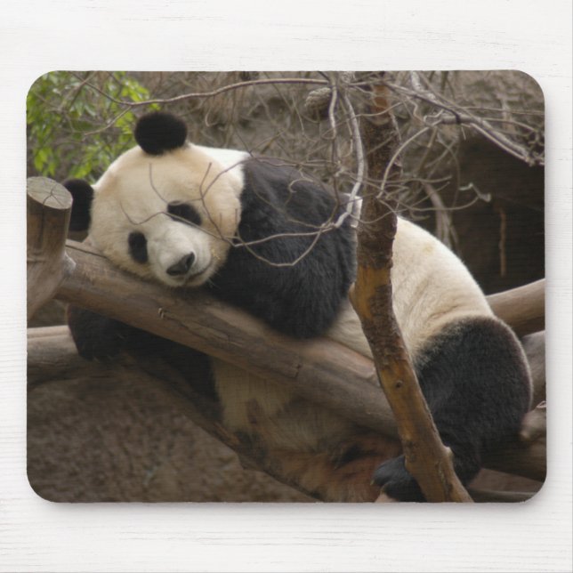 Urso de panda gigante & panda Mousepad do bebê (Frente)