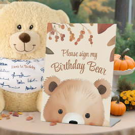 Urso Florestal Adorável Primeiro Aniversário Queda