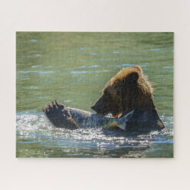 Urso Grizzly Pegou Um Quebra-cabeça De Vidro De Sa