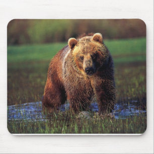 URSO NA ÁGUA MOUSEPAD