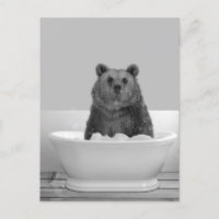 Urso na banheira Banho de espuma Cartão postal