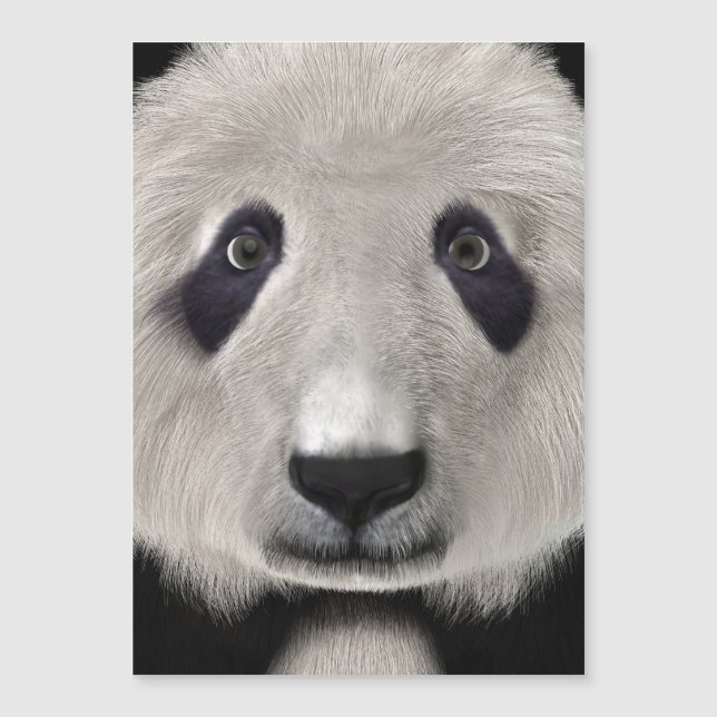 Urso Panda (Frente)