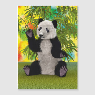 Urso Panda