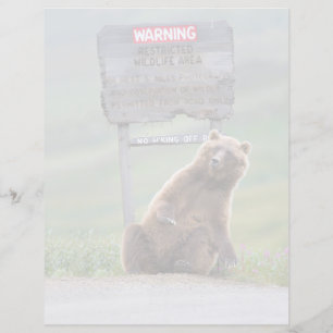 Urso Pardo Brinca Com Placa