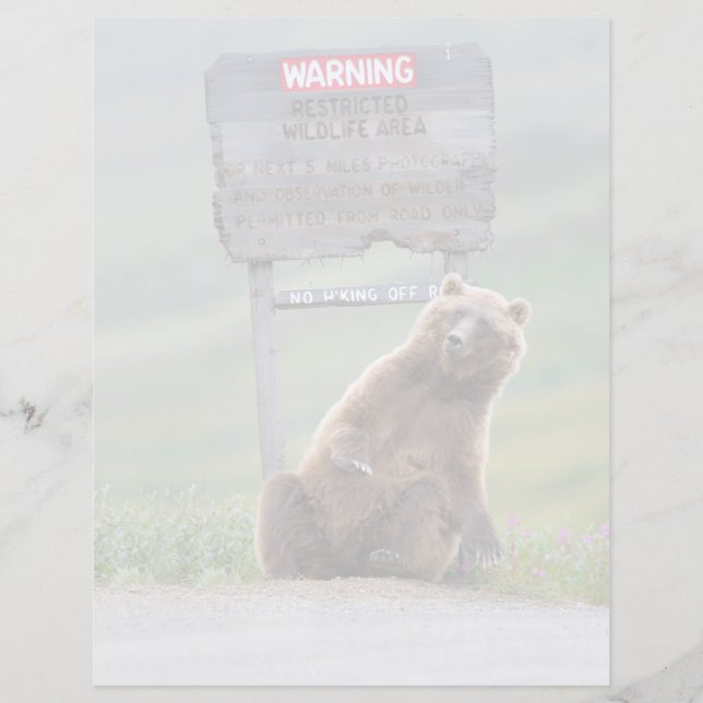Urso Pardo Brinca Com Placa (Frente)