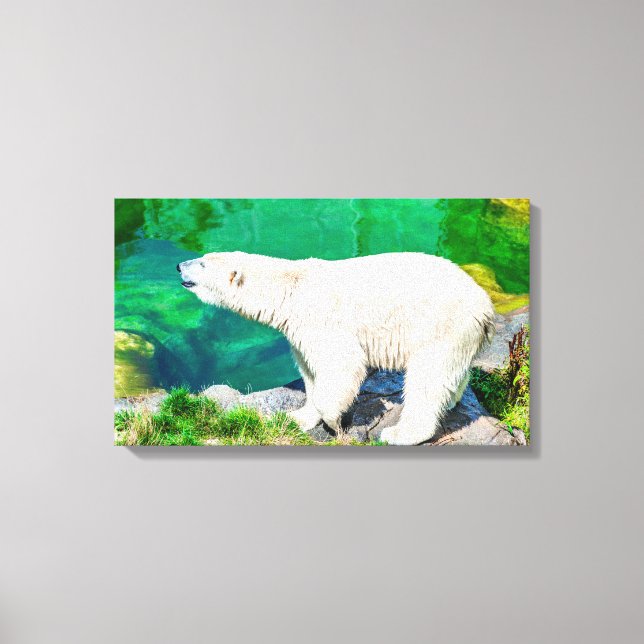 urso polar canvas (Frente)