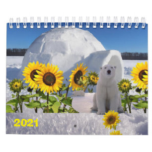 Urso Polar do Calendário 2021