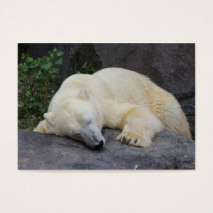 Urso polar do sono