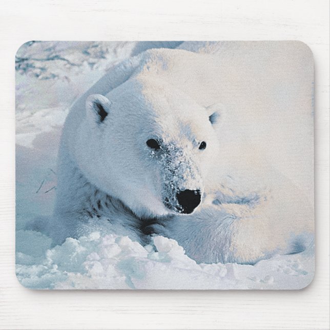 Urso polar e neve Mousepad (Frente)
