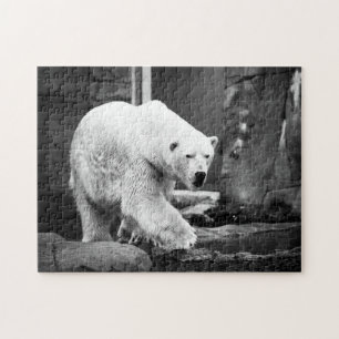 Urso Polar Grandioso, Quebra-cabeça de Jigsaw