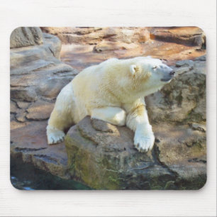Urso polar Mousepad