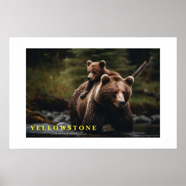 Urso poster Yellowstone (Frente)