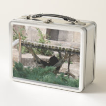 Urso Preguiçoso de Verão em Rede