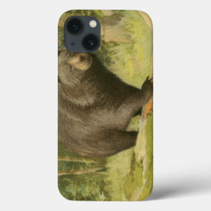 Urso Preto a Passar num Tronco de Árvore