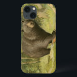 Urso Preto a Passar num Tronco de Árvore<br><div class="desc">Esta impressão de arte de Oliver Kemp ilustra um urso pardo pisando em uma árvore caída em uma floresta. As cores verdes pastéis estão se acalmando para o olho e criam uma sensação de calor agradável sobre a natureza despertar na primavera. Um excelente adicional a qualquer decoração rústica em casa!...</div>