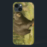 Urso Preto a Passar num Tronco de Árvore<br><div class="desc">Esta impressão de arte de Oliver Kemp ilustra um urso pardo pisando em uma árvore caída em uma floresta. As cores verdes pastéis estão se acalmando para o olho e criam uma sensação de calor agradável sobre a natureza despertar na primavera. Um excelente adicional a qualquer decoração rústica em casa!...</div>