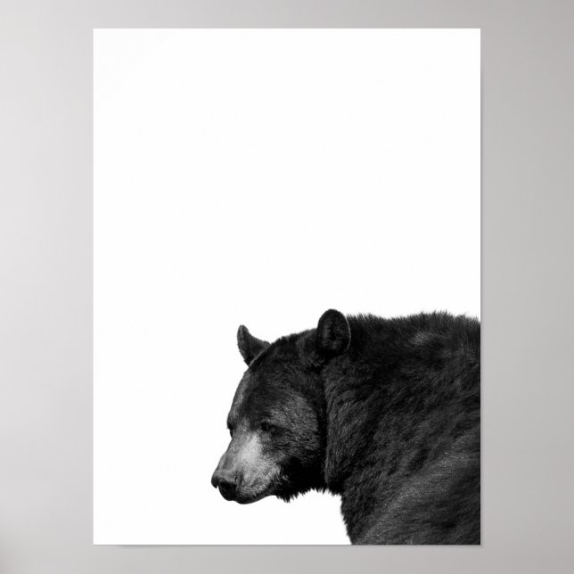 Urso Preto Branco Poster Foto Cabana Berçário (Frente)
