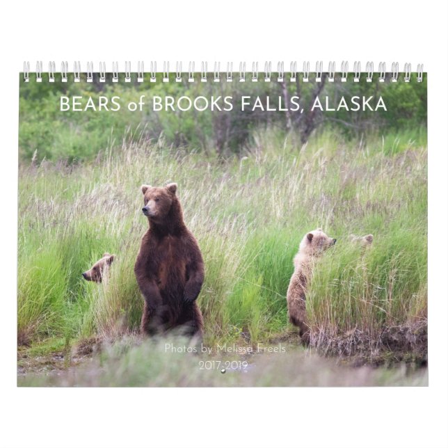 Ursos de Brooks Falls - Calendário 2021 (Capa)