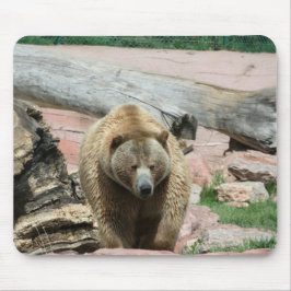 Ursos de Mouse Pad Grizzly da Dakota do Sul