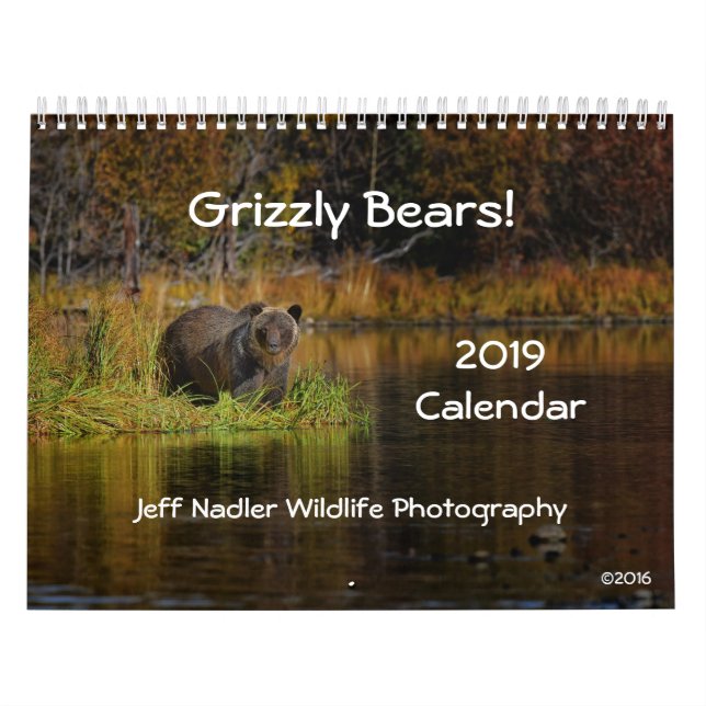 Ursos de urso - calendário de parede 2019 (Capa)