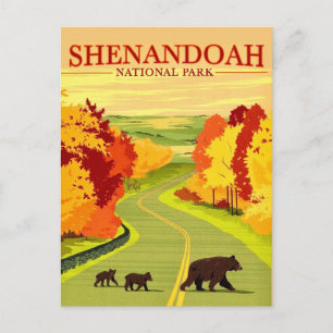 Ursos no cartão postal do Shenandoah NP