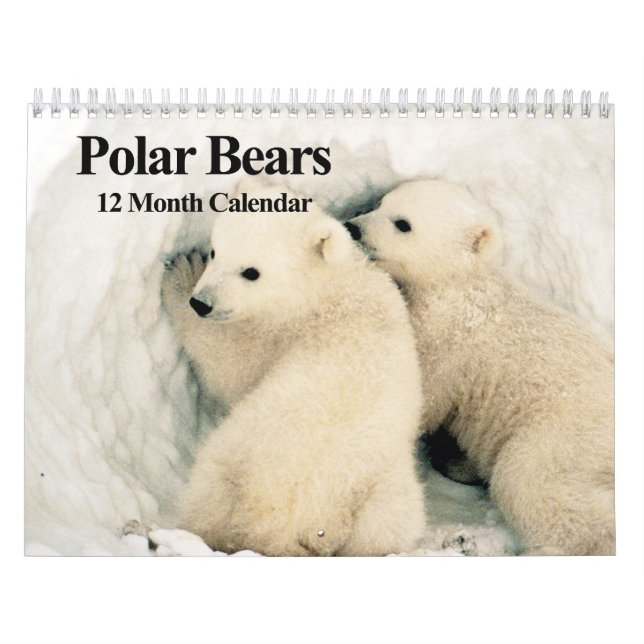 Ursos Polares - Calendário de 12 Meses (Capa)