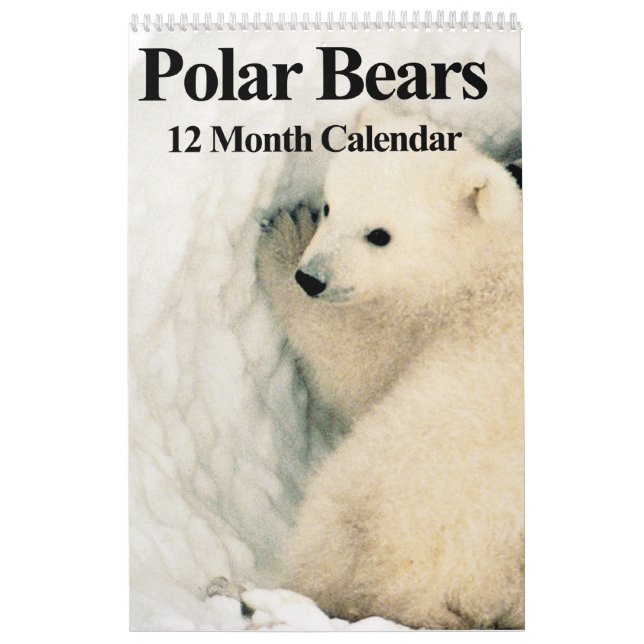 Ursos Polares - Calendário de 12 Meses (Capa)