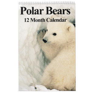 Ursos Polares - Calendário de 12 Meses