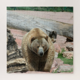 Ursos quebra-cabeça Grizzly da Dakota do Sul