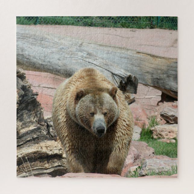 Ursos quebra-cabeça Grizzly da Dakota do Sul (Vertical)