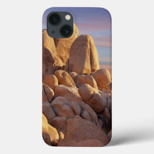 USA, California, Joshua Tree National Park