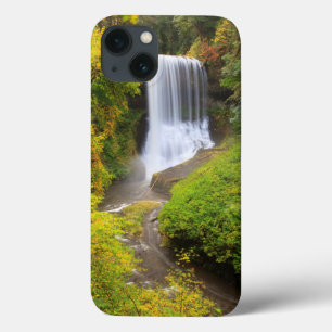 USA, Oregon, Silver Falls State Park 3