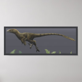 Utahraptor Impressão