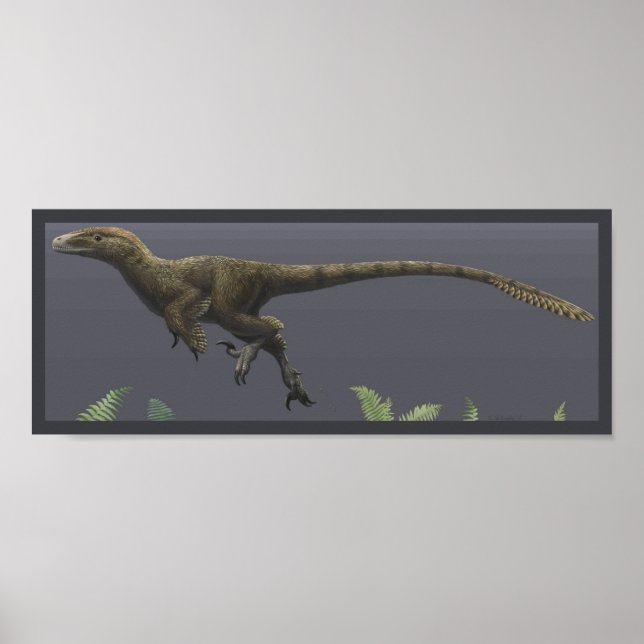 Utahraptor Impressão (Frente)