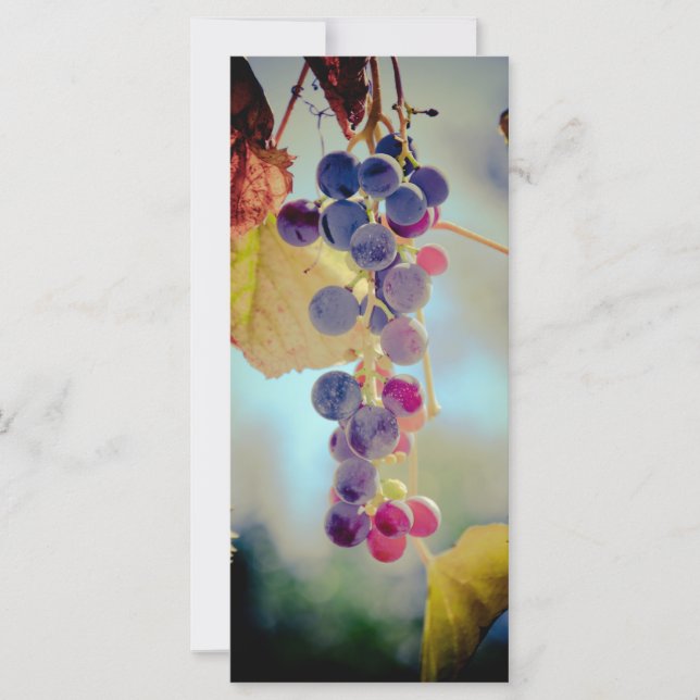 Uvas (Frente)