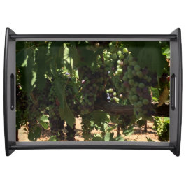 Uvas na bandeja do serviço da videira