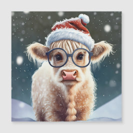 Vaca Bela Em Terra Alta Na Neve