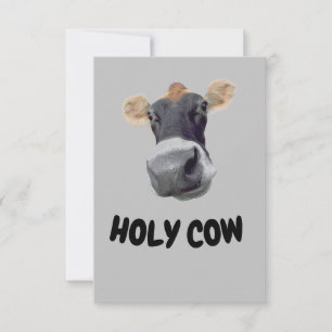 VACA HOLANDA, Cartões de agradecimentos